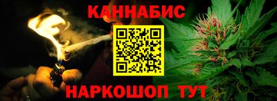 индика Новозыбков
